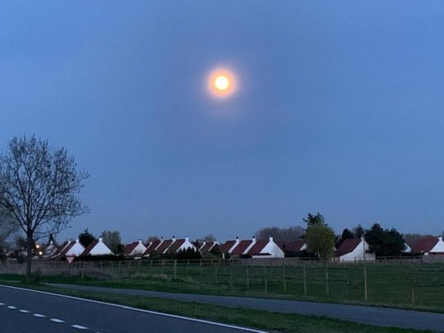 Duinendaele 232 Met Sauna Bij Plopsaland En Natuurreservaat Villa De Panne Exterior foto