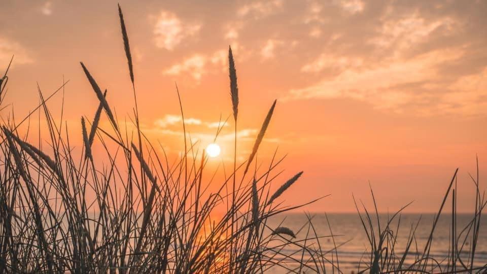 Duinendaele 232 Met Sauna Bij Plopsaland En Natuurreservaat De Panne Exterior foto